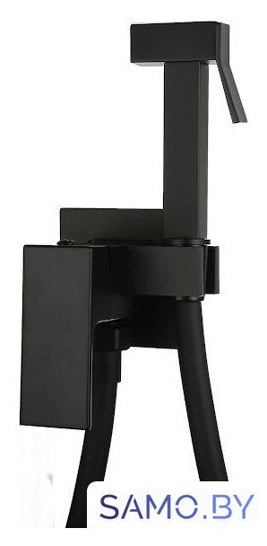 Гигиенический душ Roxen Caspia 50096000-B - Изображение №1 — Интернет-магазин samo.by