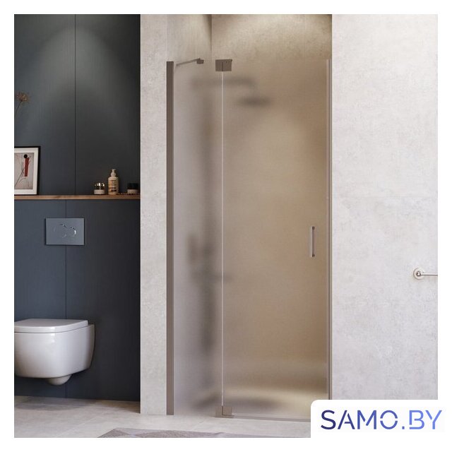 Душевая дверь RGW HO-014Gr 350601413-210 - Изображение №1 — Интернет-магазин samo.by