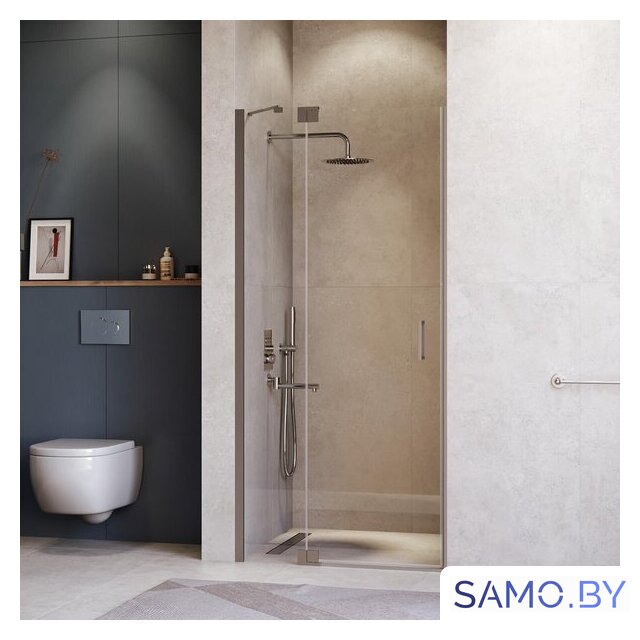Душевая дверь RGW HO-014Gr 350601414-110 - Изображение №1 — Интернет-магазин samo.by