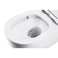 Унитаз подвесной Roxen Porto в комплекте с инсталляцией StounFix Dual Fresh 6 в 1 868474 (кнопка: золото глянцевая) - Превью изображения №14 — Интернет-магазин samo.by
