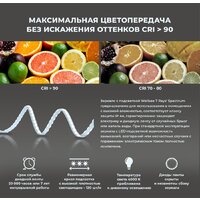  Wellsee Зеркало с фоновой LED-подсветкой 7 Rays' Spectrum 172201960, 120 x 60 см (с сенсором и регулировкой яркости освещения) - Превью изображения №4 — Интернет-магазин samo.by
