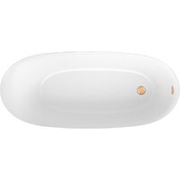 Ванна Wellsee Panta Rei 168x73 23720104R (отдельностоящая ванна белый глянец, экран, ножки, сифон-автомат золото) - Превью изображения №3 — Интернет-магазин samo.by