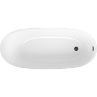 Ванна Wellsee Panta Rei 168x73 23720103R (отдельностоящая ванна белый глянец, экран, ножки, сифон-автомат матовый черный) - Превью изображения №3 — Интернет-магазин samo.by