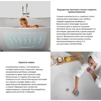 Ванна Wellsee FR.Euphoria 166x77,5 230101004 (отдельностоящая ванна белый глянец, экран, ножки золото, сифон-автомат золото) - Превью изображения №6 — Интернет-магазин samo.by