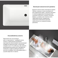 Ванна Wellsee FR.Euphoria 166x77,5 230101004 (отдельностоящая ванна белый глянец, экран, ножки золото, сифон-автомат золото) - Превью изображения №5 — Интернет-магазин samo.by