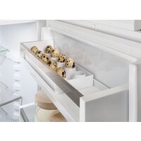 Холодильник Liebherr ICNf 5103 Pure NoFrost 5103-22001 - Превью изображения №9 — Интернет-магазин samo.by