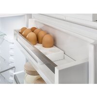 Холодильник Liebherr ICNf 5103 Pure NoFrost 5103-22001 - Превью изображения №8 — Интернет-магазин samo.by
