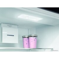 Холодильник Liebherr ICNf 5103 Pure NoFrost 5103-22001 - Превью изображения №12 — Интернет-магазин samo.by