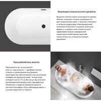 Ванна Wellsee FR.Euphoria 2.0 166x77 235501002 (отдельностоящая ванна белый глянец, экран, ножки золото) - Превью изображения №5 — Интернет-магазин samo.by