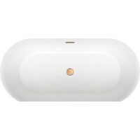 Ванна Wellsee Éclatant 2.0 167x79 231401004 (отдельностоящая ванна белый глянец, экран, ножки, сифон-автомат золото) - Превью изображения №4 — Интернет-магазин samo.by