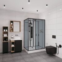 Душевая кабина Niagara NG-6912-01GQR BLACK 120x80x210 (тонированное стекло) - Превью изображения №2 — Интернет-магазин samo.by