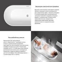 Ванна Wellsee Shell 150x73 28170204R (отдельностоящая ванна белый глянец, экран, ножки, сифон-автомат золото) - Превью изображения №5 — Интернет-магазин samo.by