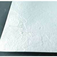 Душевой поддон RGW 16152010-01 100x100 - Превью изображения №2 — Интернет-магазин samo.by