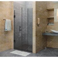 Душевая дверь RGW HO-012B 120 (черный/прозрачное стекло) - Превью изображения №2 — Интернет-магазин samo.by