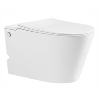 Roxen Grown 620270-01 с импульсным смывом