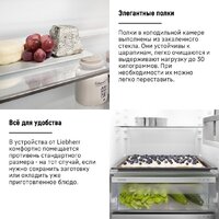 Холодильник Liebherr ICe 5103 Pure 5103-22001 - Превью изображения №21 — Интернет-магазин samo.by