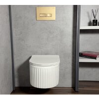 Унитаз подвесной Roxen Royal Matt в комплекте с инсталляцией StounFix Dual Fresh 6 в 1 968283 (кнопка: оружейная сталь) - Превью изображения №15 — Интернет-магазин samo.by
