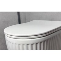 Унитаз подвесной Roxen Royal Matt в комплекте с инсталляцией StounFix Dual Fresh 6 в 1 968283 (кнопка: оружейная сталь) - Превью изображения №12 — Интернет-магазин samo.by