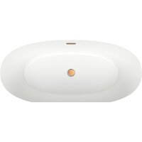 Ванна Wellsee Éclatant 159x74 231301004 (отдельностоящая ванна белый глянец, экран, ножки, сифон-автомат золото) - Превью изображения №4 — Интернет-магазин samo.by