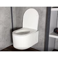 Унитаз подвесной Roxen Royal Matt в комплекте с инсталляцией StounFix Dual Fresh 6 в 1 968291 (кнопка: белый/хром) - Превью изображения №12 — Интернет-магазин samo.by