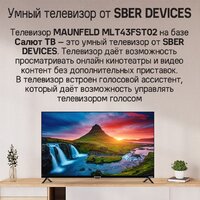 Телевизор MAUNFELD MLT43FST02 - Превью изображения №11 — Интернет-магазин samo.by