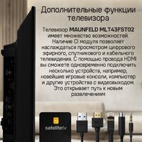Телевизор MAUNFELD MLT43FST02 - Превью изображения №17 — Интернет-магазин samo.by