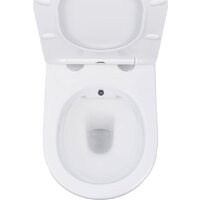 Унитаз подвесной Roxen Antares Bidet в комплекте с инсталляцией StounFix Dual Fresh 6 в 1 868561 (кнопка: белый глянцевая) - Превью изображения №9 — Интернет-магазин samo.by