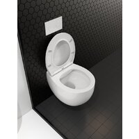 Унитаз подвесной Roxen Egg в комплекте с инсталляцией StounFix Dual Fresh 6 в 1 964237 (кнопка: оружейная сталь) - Превью изображения №12 — Интернет-магазин samo.by