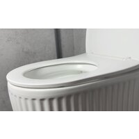 Унитаз подвесной Roxen Royal Matt в комплекте с инсталляцией StounFix Dual Fresh 6 в 1 968297 (кнопка: черный/хром) - Превью изображения №9 — Интернет-магазин samo.by