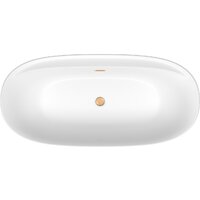 Ванна Wellsee Pro Line 170x80 28750104R (отдельностоящая ванна белый глянец, экран, ножки, сифон-автомат золото) - Превью изображения №4 — Интернет-магазин samo.by