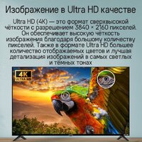 Телевизор MAUNFELD MLT55UST02 - Превью изображения №15 — Интернет-магазин samo.by