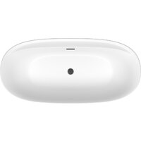 Ванна Wellsee Pro Line 170x80 28750103R (отдельностоящая ванна белый глянец, экран, ножки, сифон-автомат матовый черный) - Превью изображения №4 — Интернет-магазин samo.by