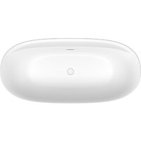 Ванна Wellsee Pro Line 170x80 28750102R (отдельностоящая ванна белый глянец, экран, ножки, сифон-автомат глянцевый белый) - Превью изображения №4 — Интернет-магазин samo.by