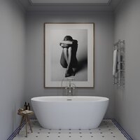 Ванна Wellsee Pro Line 170x80 28750101R (отдельностоящая ванна белый глянец, экран, ножки, сифон-автомат хром) - Превью изображения №8 — Интернет-магазин samo.by