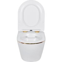 Унитаз подвесной Roxen Antares Gold в комплекте с инсталляцией StounFix Dual Fresh 6 в 1 868553 (кнопка: белый глянцевая) - Превью изображения №11 — Интернет-магазин samo.by