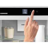 Холодильник Liebherr ICBNSd 5623 Plus BioFresh NoFrost - Превью изображения №4 — Интернет-магазин samo.by