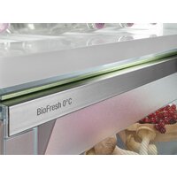Холодильник Liebherr ICBNSd 5623 Plus BioFresh NoFrost - Превью изображения №14 — Интернет-магазин samo.by