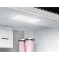 Холодильник Liebherr ICBNSd 5623 Plus BioFresh NoFrost - Превью изображения №5 — Интернет-магазин samo.by
