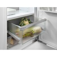 Холодильник Liebherr ICBNSd 5623 Plus BioFresh NoFrost - Превью изображения №15 — Интернет-магазин samo.by