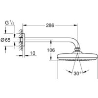 Верхний душ Grohe Tempesta 210 26412000 - Превью изображения №3 — Интернет-магазин samo.by