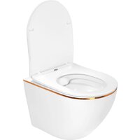 Унитаз подвесной Roxen Antares Gold в комплекте с инсталляцией StounFix Dual Fresh 6 в 1 868483 (кнопка: золото глянцевая) - Превью изображения №12 — Интернет-магазин samo.by