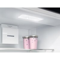 Холодильник Liebherr ICNd 5603 Pure NoFrost - Превью изображения №6 — Интернет-магазин samo.by