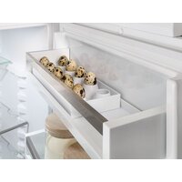 Холодильник Liebherr ICNd 5603 Pure NoFrost - Превью изображения №10 — Интернет-магазин samo.by