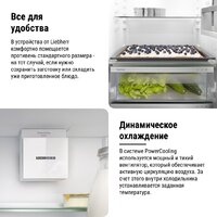 Холодильник Liebherr ICNd 5603 Pure NoFrost - Превью изображения №23 — Интернет-магазин samo.by