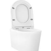 Унитаз подвесной Wellsee eclatant RimFree 182615001 (чаша, пневмокрышка, глянцевый белый) - Превью изображения №2 — Интернет-магазин samo.by