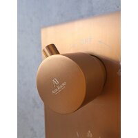 Душевая система  Altrobagno Unione 040410 RaSp - Превью изображения №8 — Интернет-магазин samo.by