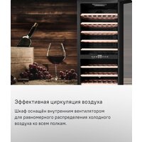 Винный шкаф MAUNFELD MFWC-201D77 - Превью изображения №11 — Интернет-магазин samo.by