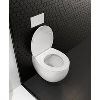 Унитаз подвесной Roxen Egg в комплекте с инсталляцией StounFix Dual Fresh 6 в 1 964076 (кнопка: хром матовый) - Превью изображения №11 — Интернет-магазин samo.by