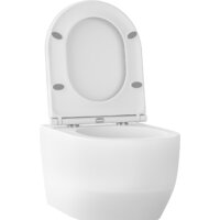Унитаз подвесной Wellsee Croquis RimFree 182612001 (чаша, пневмокрышка, матовый белый) - Превью изображения №2 — Интернет-магазин samo.by