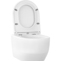 Унитаз подвесной Wellsee Croquis RimFree 182611001 (чаша, пневмокрышка, глянцевый белый) - Превью изображения №2 — Интернет-магазин samo.by